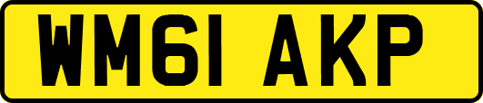 WM61AKP