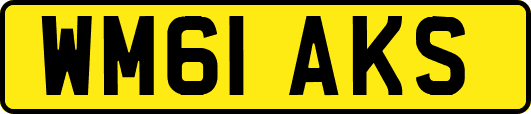 WM61AKS
