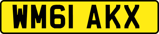 WM61AKX