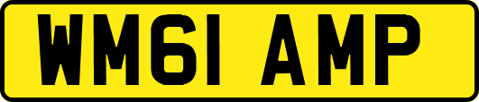 WM61AMP