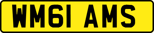 WM61AMS