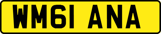 WM61ANA
