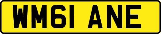 WM61ANE