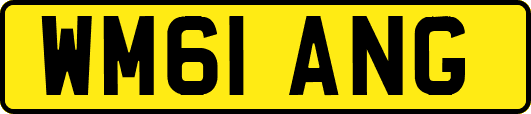 WM61ANG