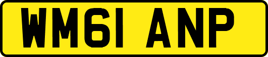 WM61ANP