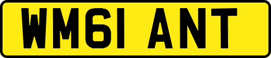 WM61ANT
