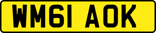 WM61AOK