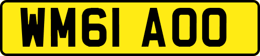 WM61AOO