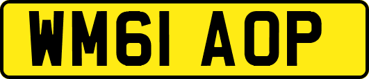 WM61AOP