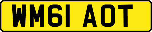 WM61AOT