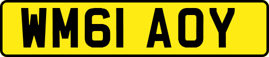 WM61AOY