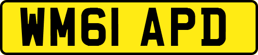 WM61APD