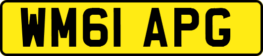 WM61APG