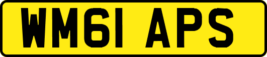 WM61APS