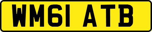 WM61ATB