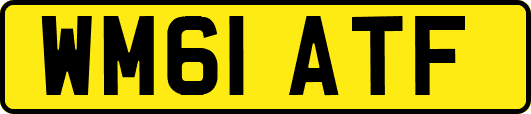 WM61ATF