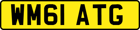 WM61ATG