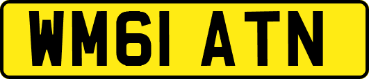 WM61ATN