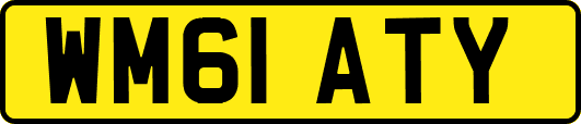 WM61ATY