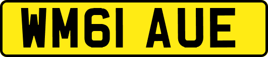 WM61AUE
