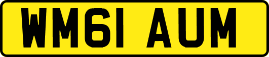 WM61AUM
