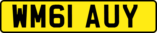 WM61AUY
