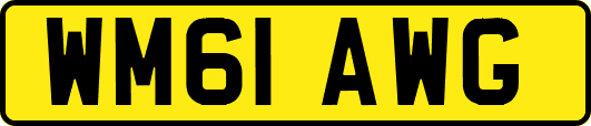 WM61AWG