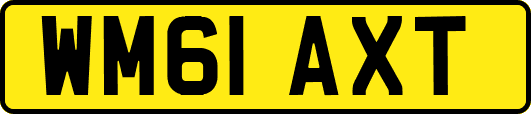 WM61AXT