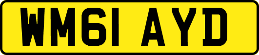 WM61AYD