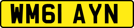 WM61AYN