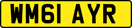 WM61AYR
