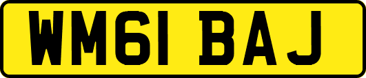 WM61BAJ