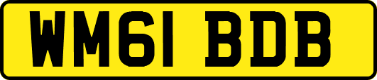 WM61BDB