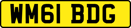 WM61BDG