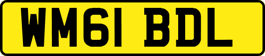 WM61BDL