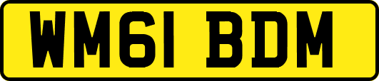 WM61BDM