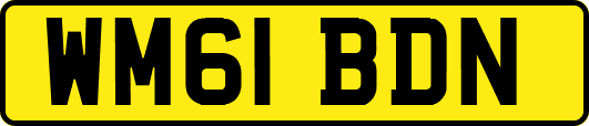 WM61BDN
