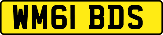 WM61BDS