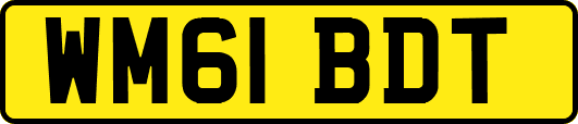 WM61BDT