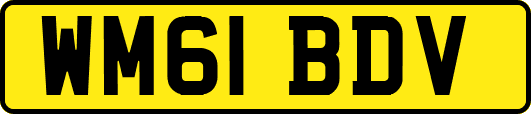 WM61BDV