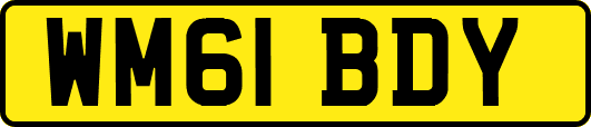 WM61BDY