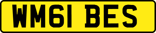 WM61BES