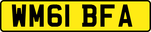 WM61BFA