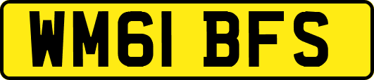 WM61BFS