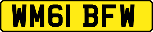 WM61BFW