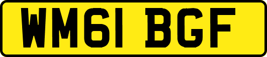 WM61BGF