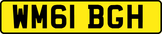WM61BGH