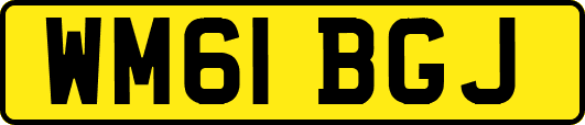 WM61BGJ