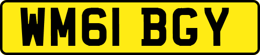 WM61BGY