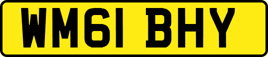 WM61BHY